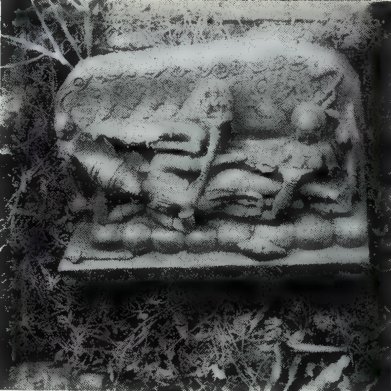 A stone relief of a reclining god on the coils of a serpent, set among grass and plants.