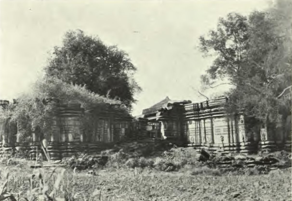 Long, low temple walls of carved stone layers, partly covered by trees and creepers, stand in a field of tall grass.