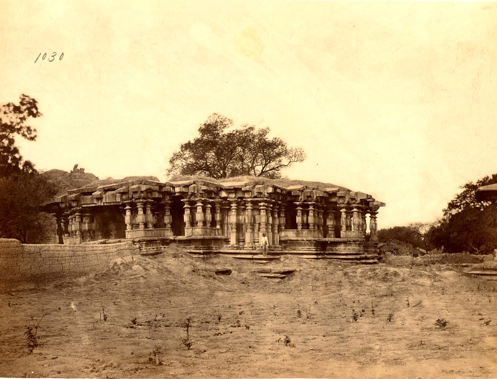 A long, low stone temple with many pillars under deep eaves. A large tree grows from the roof. Bare, rough ground lies in front.