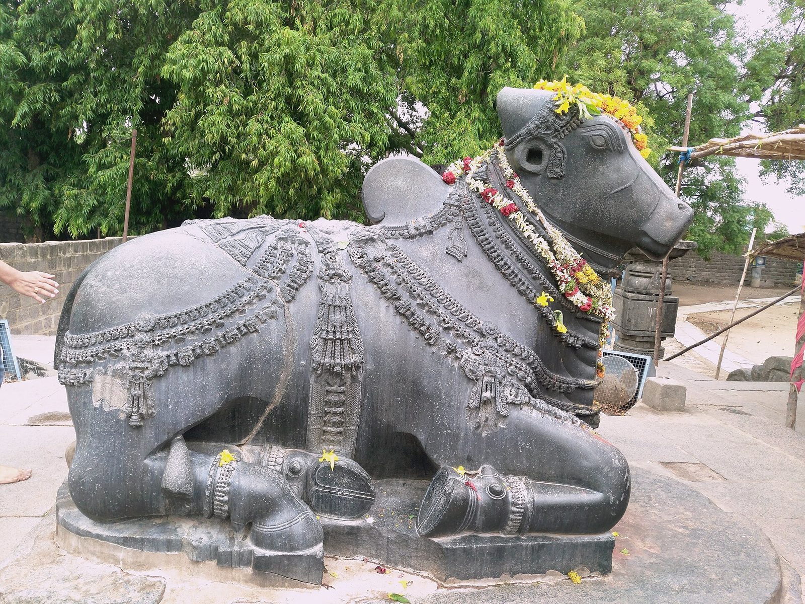 A large polished black stone Nandi bull, seated, carved with chains of bells and garlands, decorated with fresh marigold garlands