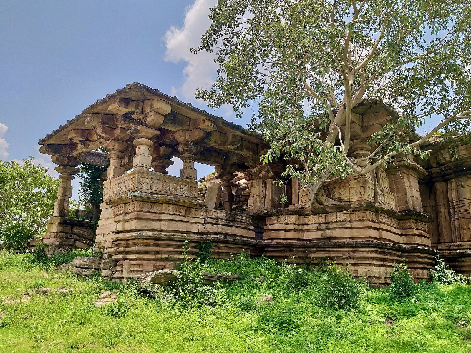 A ruined stone temple with a flat roof on rows of carved pillars stands in a green field. A large tree grows out of the roof, and fallen blocks lie in front.