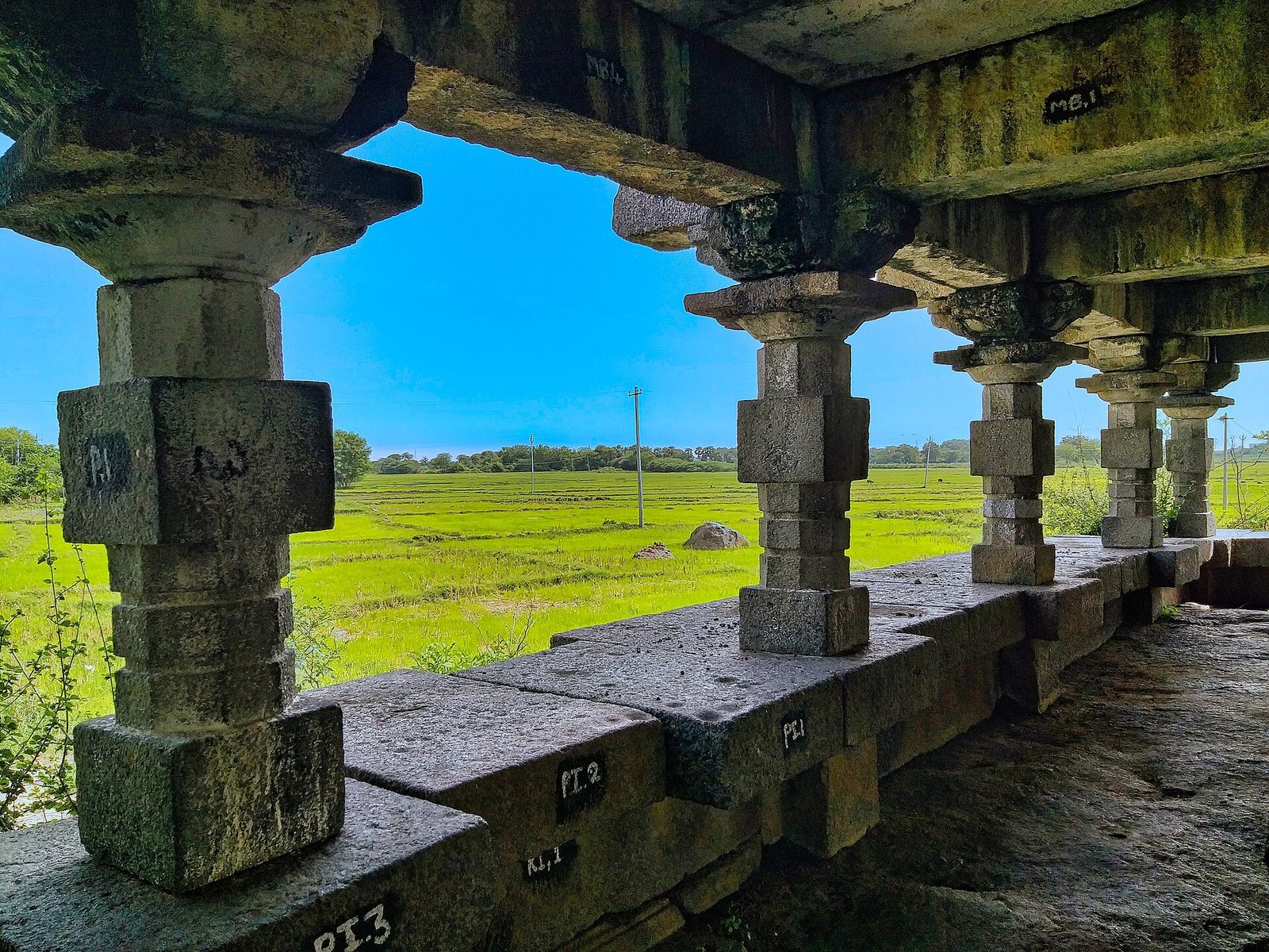 Square stone pillars stand on a low wall at the edge of the hall. Green rice fields stretch beyond them under a blue sky.