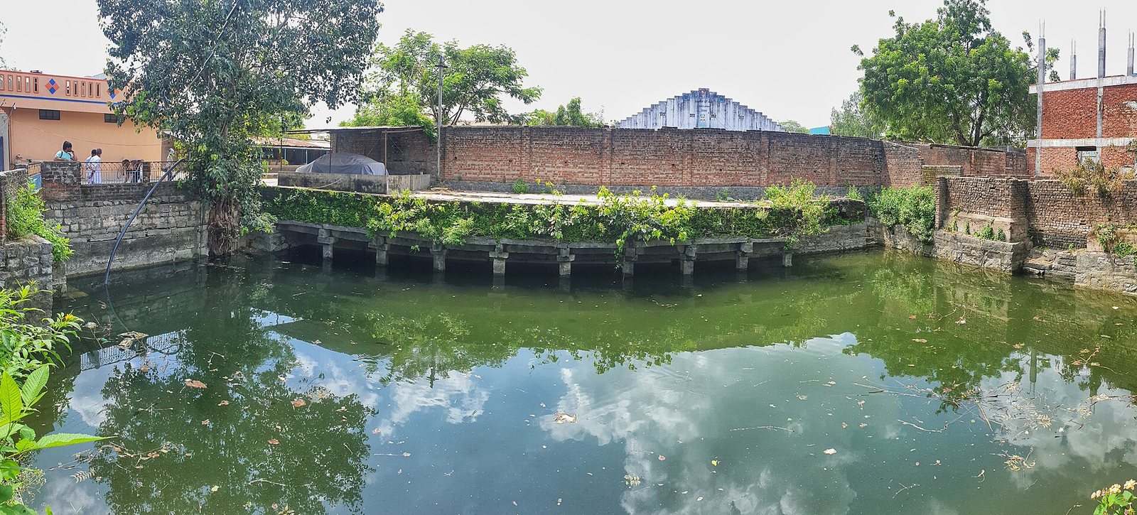 A wide view of a square stepwell filled with green water to the level of its upper pillars, with brick houses and trees around it.