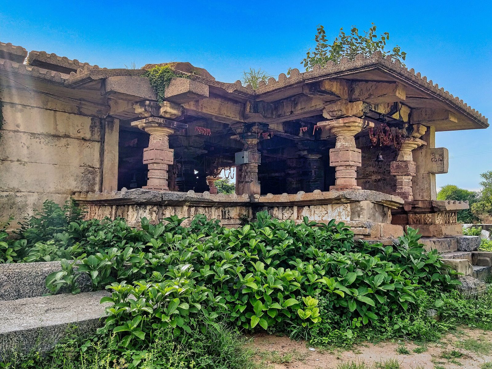 The ruined hall of a stone temple, with a sloping stone eave and squat carved pillars on a raised, moulded base. Large plain blocks form the wall at left, and green shrubs grow in the foreground.